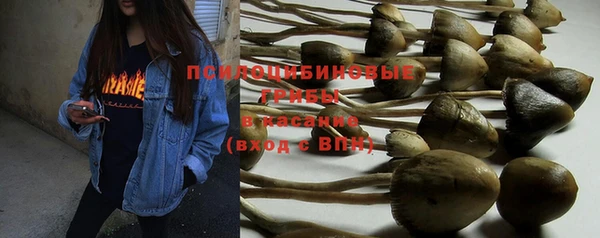гашик Медногорск