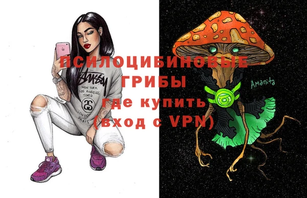 метадон Вяземский