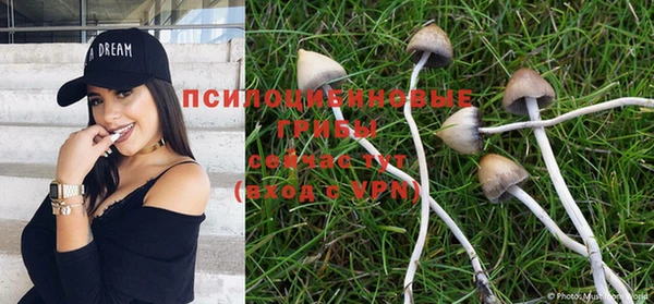 герыч Вязьма