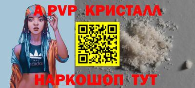 крисы Гагарин