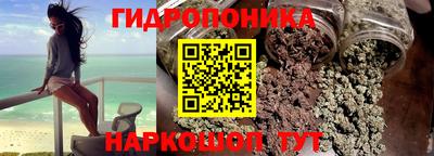 крисы Гагарин