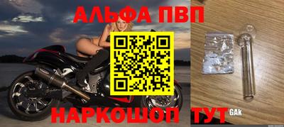 крисы Гагарин