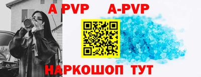 крисы Гагарин