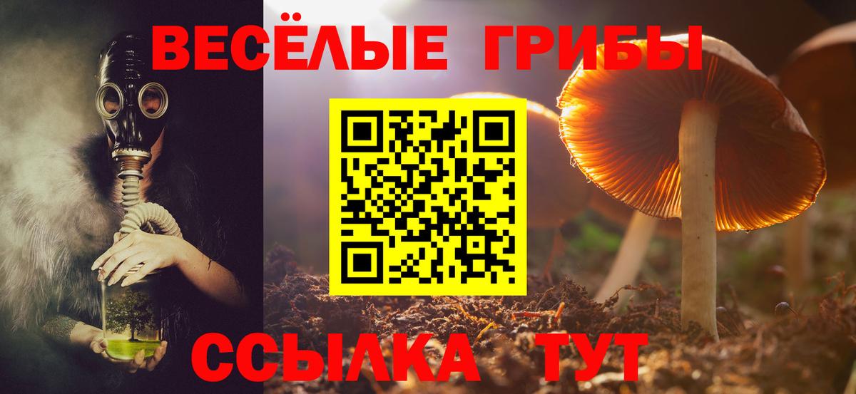 Галлюциногенные грибы ЛСД Губкин