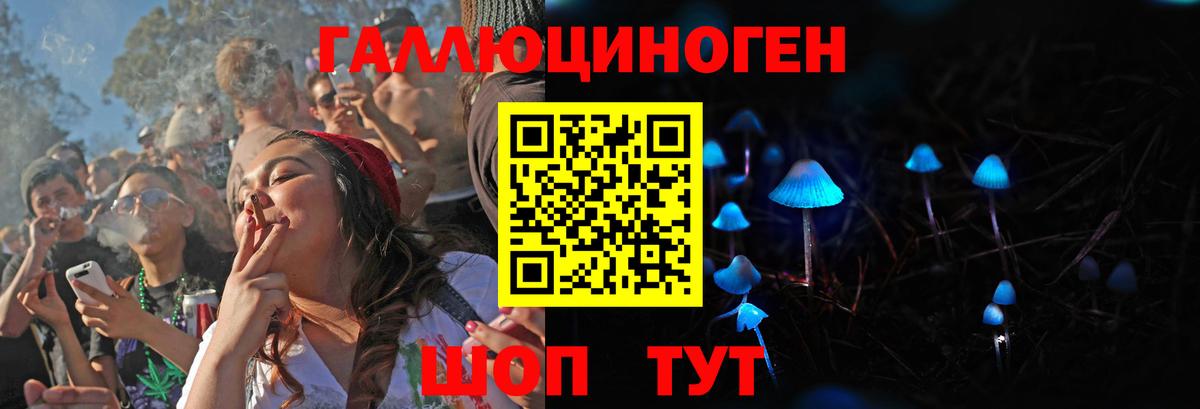 Галлюциногенные грибы прущие грибы  Псилоцибиновые грибы Psilocybe  Губкин  Вход с VPN 