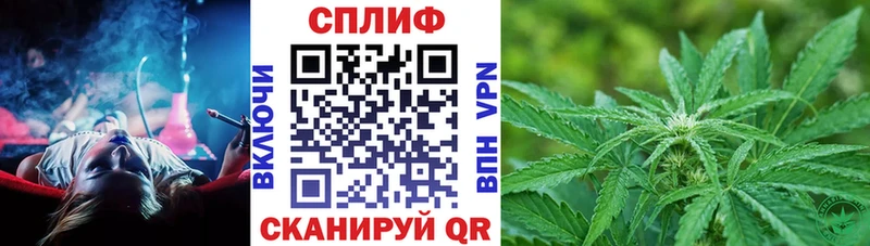 даркнет Telegram  Губкин  Бошки Шишки ГИДРОПОН  ссылка на мегу вход 